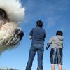 Dogphotobomb