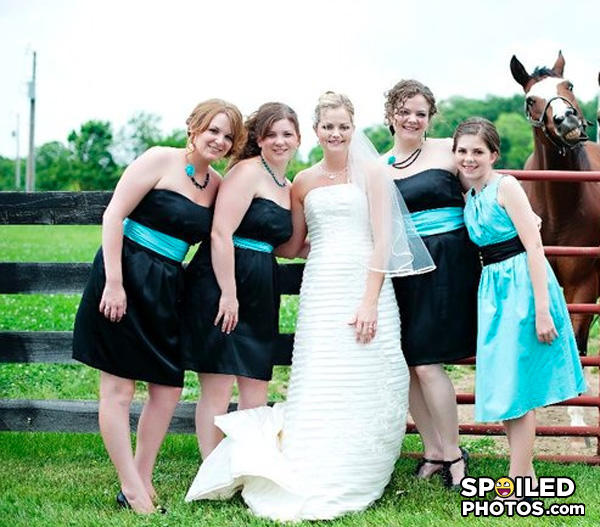 Horsephotobomb