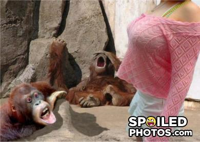 Spoiledphotos-com-133e9a