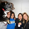 1229 - Spoiled Photos