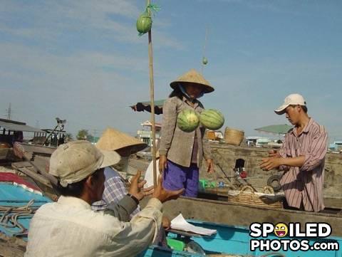 Spoiledphotos-1218961812-49536