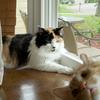 1454 - Spoiled Photos