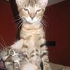 1422 - Spoiled Photos