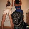 Spoiledphotos-1219312013-33080