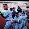 24950 - Popular Photos spoiled by Photobombers - 60