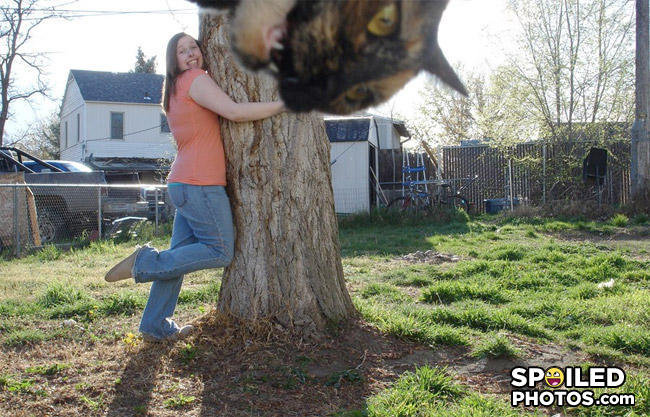 Catphotobomb