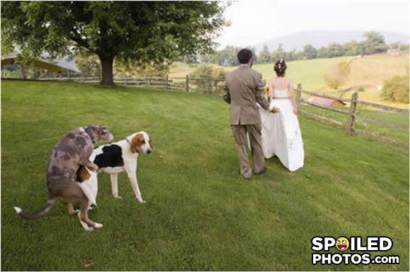 Spoiledphoto