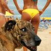 Photobomb