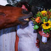 1511 - Spoiled Photos