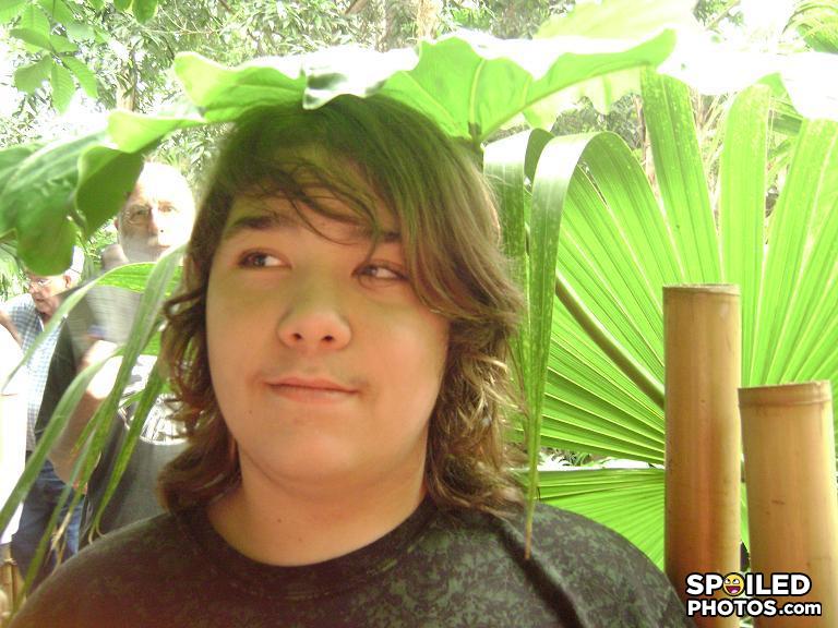 Zachleaf